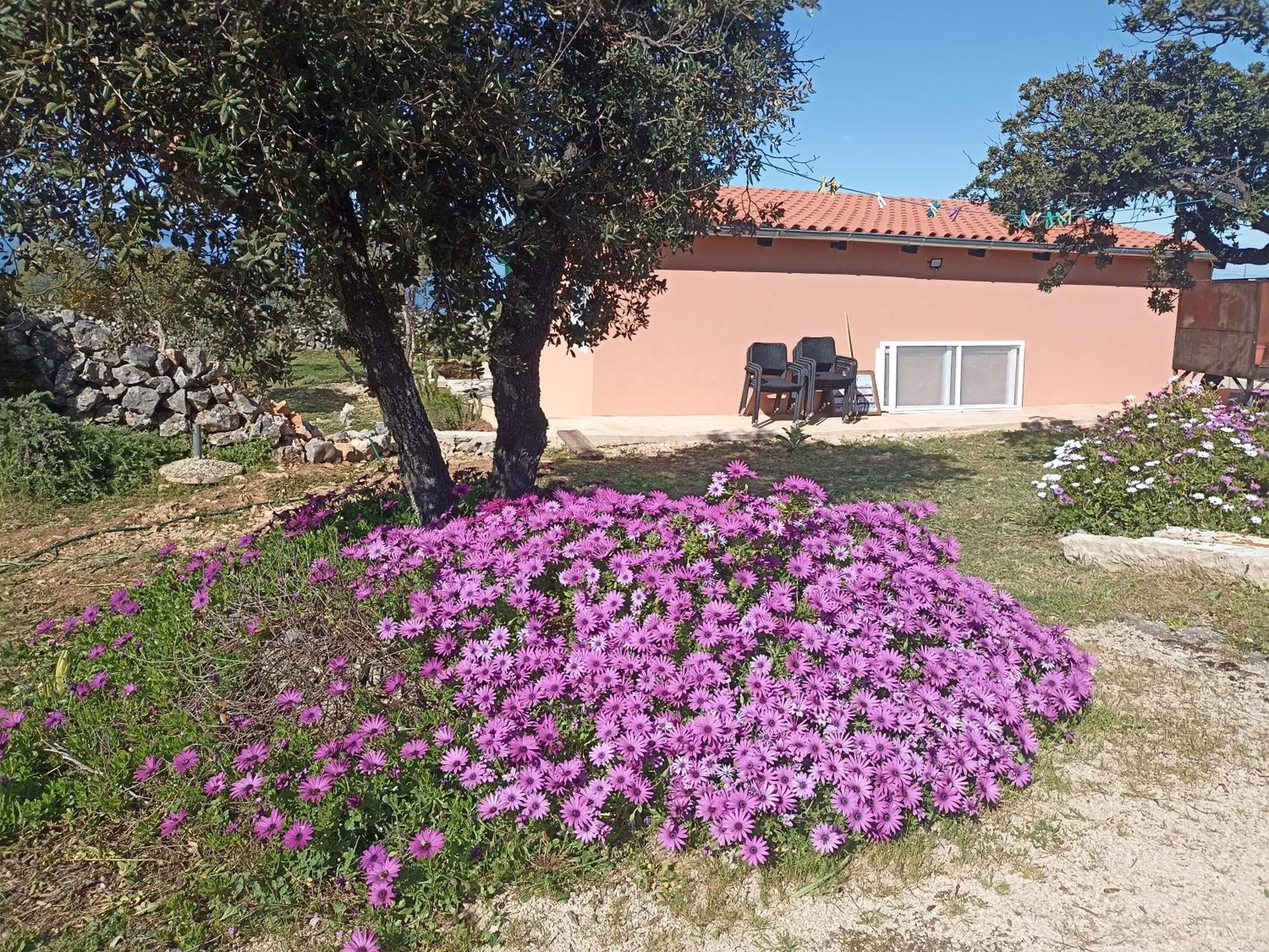 Ferienwohnung App Bonic Veli Lošinj Exterior foto